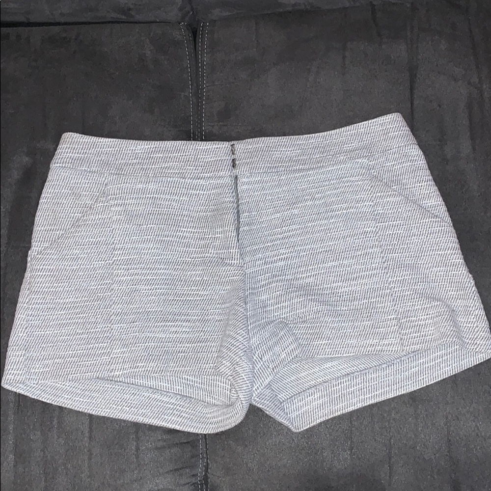 LOFT Shorts